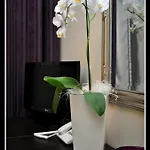 Hotel Adriana