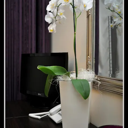 Hotell Adriana
